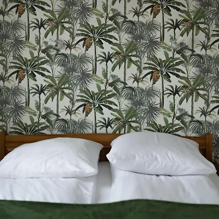 Filip W Kudowie-zdroju Apartamento Kudowa-Zdrój